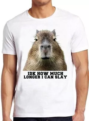 Buy Idk How Much Longer I Can Slay Capybara Sarcastic Dan Gift Tee T Shirt M1066 • 6.35£