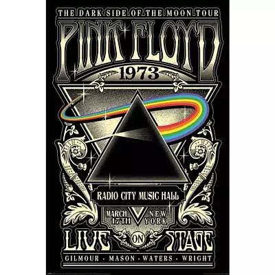 Buy Pink Floyd Dark Side Of The Moon Poster TA9389 • 8.79£