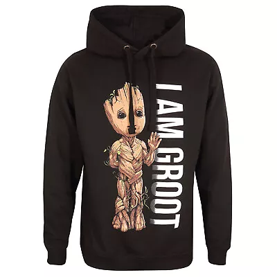 Buy Official I Am Groot - Profile  (Pullover) • 34.99£