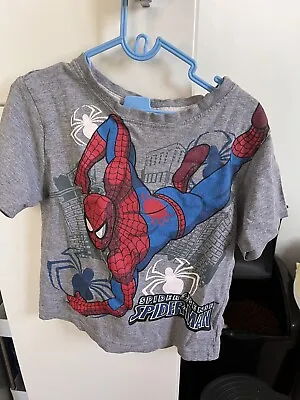 Buy Grey Short Sleeved Spider-Man T Short Size 4-5 • 0.49£