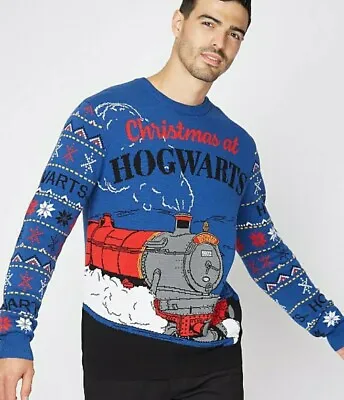 Buy Harry Potter Hogwarts Express Mans Christmas Jumper Xxl Brand New. • 17.99£