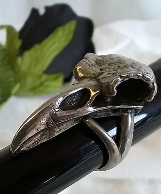 Buy Alchemy Ring - Rabeschadel Raven Skull - Uk Size T - Gothic Jewellery  • 35.99£