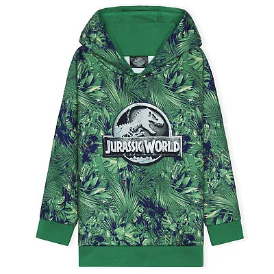 Buy Jurassic World Boys Hoodies Dinosaur Hoodie Kids Teens • 13.49£