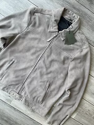 Buy All Saints Light Grey  Hampden  Suede Leather Jacket Coat - Xxl - New Tags • 214.99£