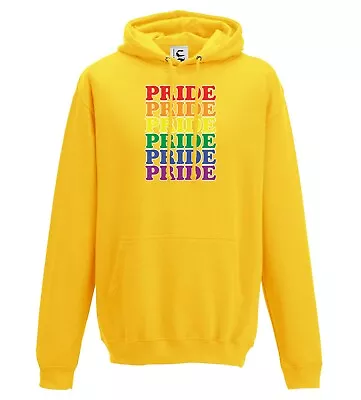 Buy Pride Rainbow LGBTQ+ Gay Pride Rainbow Words Hoodie Adults Teens & Kids Sizes • 18.99£