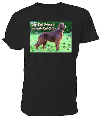 Buy Irish Red Setter Dog T Shirt, My Best Friend Choice Of Size/cols. Mens/womens • 11.99£