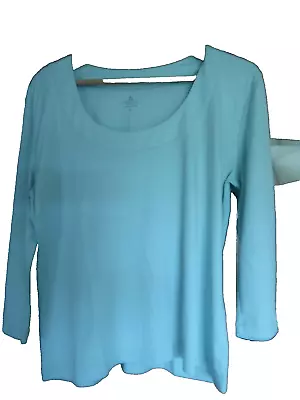 Buy Spirit Of The Andes Top/t-shirt Xl Uk 18 Pale Green 3/4 Sleeve Scoop Neck C • 14.99£