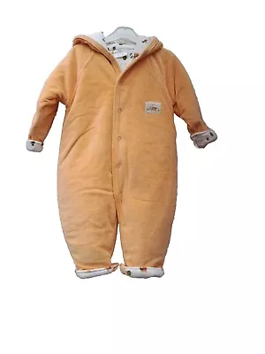 Buy BABY BASIX-All In One Cozy Hoodie Pram Suit Poppers F/Opening 12mths   Awww  • 10.99£
