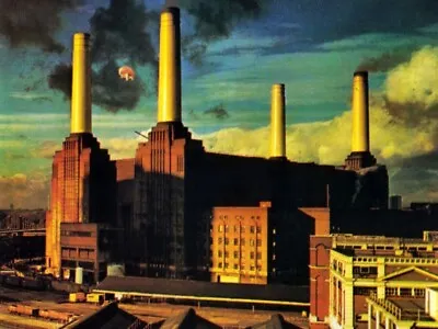 Buy Animals Pink Floyd Music Album Cover Iron On Tee T-shirt Transfer • 2.39£