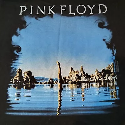 Buy Vintage Pink Floyd 2001 ANVIL Tee Shirt - WISH YOU WERE HERE  Size Medium VGC  • 59.75£
