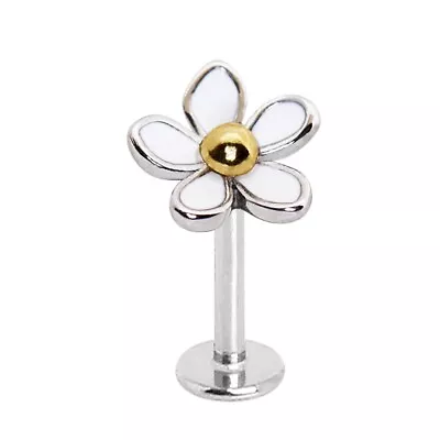 Buy Stunning DAISY Flower Tragus 8mm Helix Bar Cartilage Upper Ear Piercing Earring • 4.39£