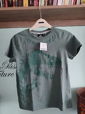 Buy Boys Jurassic World T-shirts Top Size 10 Years Green Next Cotton/viscose  • 6.50£