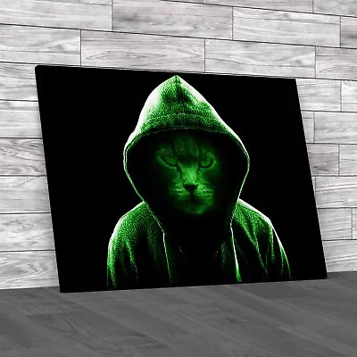 Buy Cool Angry Cat In Hoodie Unleash The Attitude  Green Canvas Print Large Picture • 14.95£