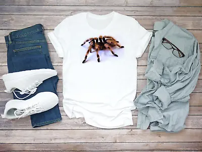Buy Spider Tarantula Nhandu Coloratovillosus Short Sleeve White Men's T Shirt D409 • 9.92£