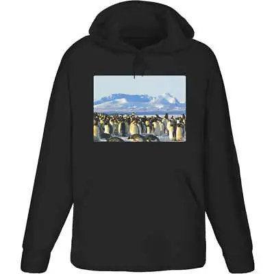 Buy 'Emperor Penguins' Adult Hoodie / Hooded Sweater (HO088160) • 24.99£