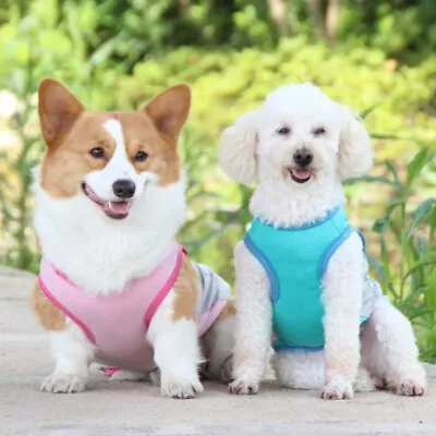 Buy For Dog Puppy Pet Summer Cooling Jacket Coat Vest T-shirt Clothes Clothing S~XXL • 8.35£