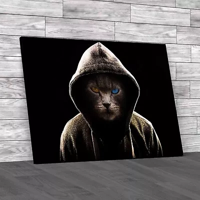 Buy Cool Angry Cat In Hoodie Unleash The Attitude  Canvas Print Large Picture Wall • 14.95£