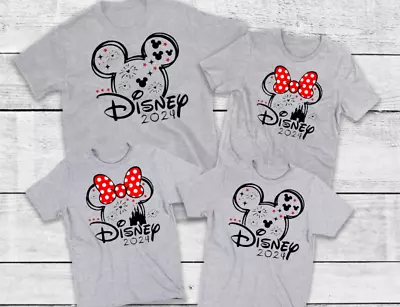 Buy Disney 2024 T Shirt Grey Matching Holiday Family Top Reveal Travel Florida Paris • 10.49£