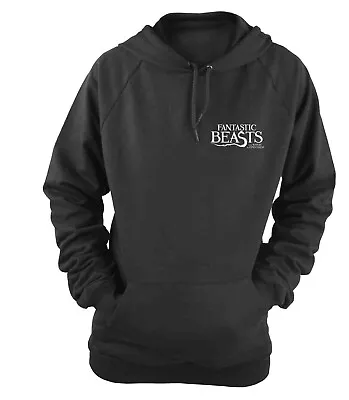 Buy FANTASTIC BEASTS - WITCH'S FRIEND BLACK Girls Hooded Pouch Sweat Womens: 12 • 8.22£