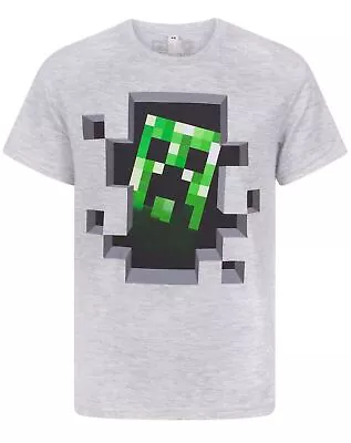 Buy Minecraft Grey Short Sleeved T-Shirt (Boys) • 10.99£