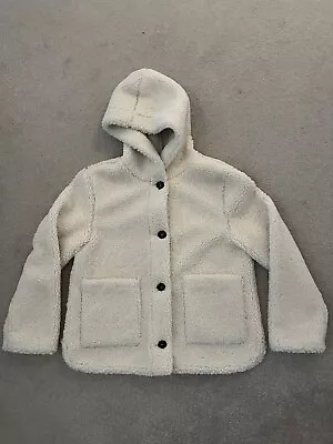 Buy Ladies Zara Cream Teddy Jacket Coat XS • 12£