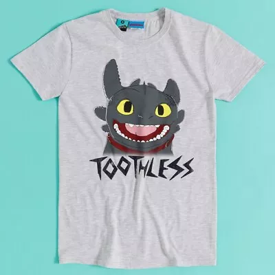 Buy Official How To Train Your Dragon Toothless Glitter Grey T-Shirt : S,M,L,XL • 22.99£