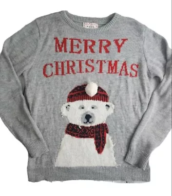Buy Merry Christmas Poof New York Womens Holiday Sweater Dog Santa Hat Gray Large  • 14.65£