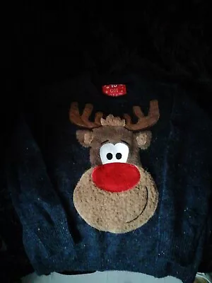 Buy Age 10 Christmas Rudolph Jumper Plays Music Flashes Battery Flat  • 6.99£