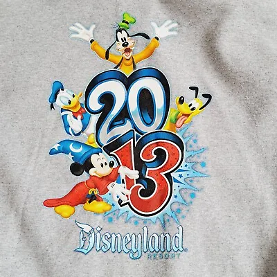 Buy 2013 Disneyland Gray Hoodie Mickey Mouse Donald Duck Pluto Goofy 2XL EUC Hanes • 31.70£
