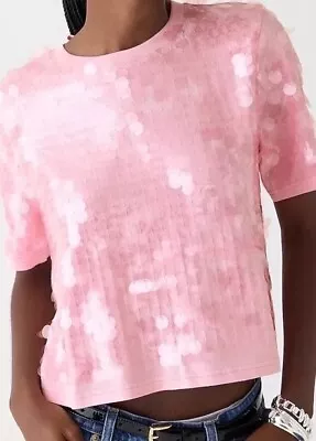 Buy J.Crew Small Broken-in Jersey T-shirt With Sequins In Pink Orchid NWT • 113.67£